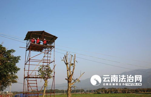 铆 在边境一线上的 瞭望哨