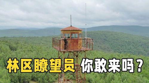 孤独却高薪的工作 大兴安岭林区瞭望员,你愿意来干吗