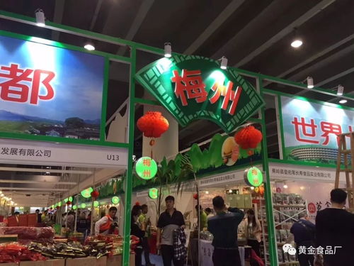 丰顺这个地方藏着 黄金 ,连市长都亲自来看了