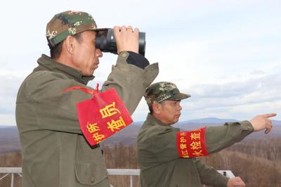 瞭望塔上的绿色心愿